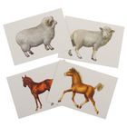 Демонстрационный материал «Домашние животные и их детеныши» - Фото 3