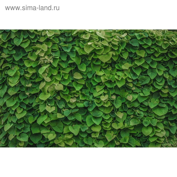 Фотосетка, 300 × 158 см, с фотопечатью, люверсы шаг 1 м, «Зелёная стена» - Фото 1