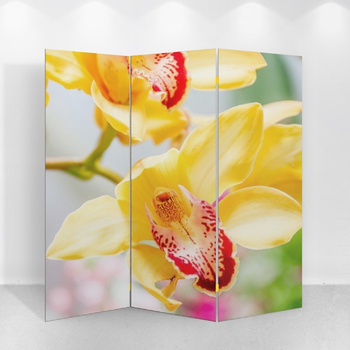 Ширма "Орхидеи", 150 х 160 см - фото 1905413360