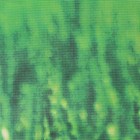 Фотосетка, 300 × 158 см, с фотопечатью, люверсы шаг 1 м, «Луг», Greengo 2532167