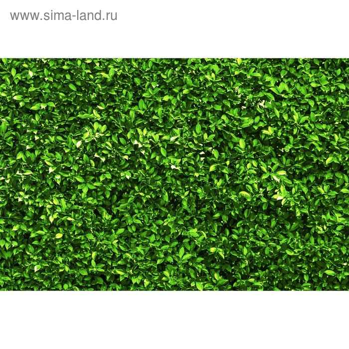 Фотобаннер, 300 × 160 см, с фотопечатью, люверсы шаг 1 м, «Зелёная изгородь», Greengo - Фото 1