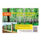 Фотосетка, 300 × 158 см, с фотопечатью, люверсы шаг 1 м, «Тропинка», Greengo - Фото 2