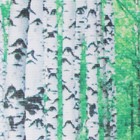 Фотосетка, 300 × 158 см, с фотопечатью, люверсы шаг 1 м, «Тропинка», Greengo - Фото 3