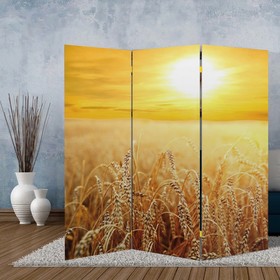 Ширма "Пшеничное поле", 160 × 150 см