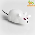 Мышь заводная, 7 см, белая - фото 3673521