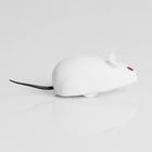 Мышь заводная, 7 см, белая - Фото 2