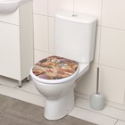 Сиденье для унитаза с крышкой «Ракушки», 40×37 см, мягкое - Фото 1