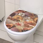 Сиденье для унитаза с крышкой «Ракушки», 40×37 см, мягкое - Фото 2