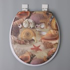 Сиденье для унитаза с крышкой «Ракушки», 40×37 см, мягкое - Фото 3