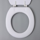 Сиденье для унитаза с крышкой «Ракушки», 40×37 см, мягкое - Фото 4