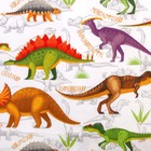 Постельное бельё Этель 1,5 сп «Динозавры» 143х215 см, 150х214 см, 50х70 см-1 шт, 100% хлопок, бязь - Фото 5