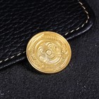 Сувенирная монета «Казахстан», d = 2,2 см, металл - Фото 2