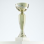 Кубок 106, наградная фигура, золото, подставка камень, 18.8 см - Фото 3