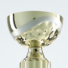 Кубок 106, наградная фигура, золото, подставка камень, 18.8 см - Фото 6