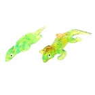 Липучка «Игуана», цвета МИКС - Фото 7