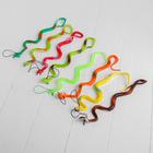 Прикол резиновая «Гадюка», цвета МИКС (комплект 10 шт) - фото 25414620