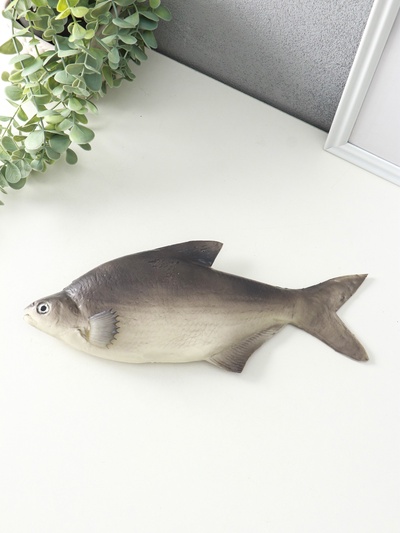 Муляж «Рыба лещ», 10×30 см