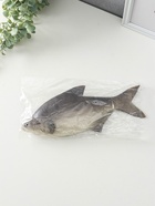 Муляж «Рыба лещ», 10×30 см - фото 60074400