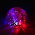 Мяч световой "Бабочка" с водой 6,5 см, цвета МИКС - Фото 4