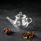 Чайник заварочный «Дамбо», 100 мл, стекло, с металлическим ситом, прозрачный - Фото 8