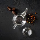 Чайник заварочный «Дамбо», 100 мл, стекло, с металлическим ситом, прозрачный - Фото 9