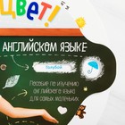 Развивающая интерактивная игра «Изучаем цвет» на английском языке - Фото 2