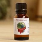 Эфирное масло "Можжевельник", флакон-капельница, аннотация, 15 мл, дезинфицирующее - Фото 2