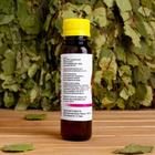 Ароматическая смесь натуральная для бани и ванны «Таежный пар», 100 мл - Фото 2