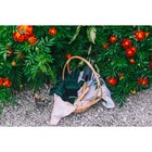 Набор садового инструмента, 2 предмета: рыхлитель, совок, длина 26 см, деревянные ручки, Greengo - Фото 7