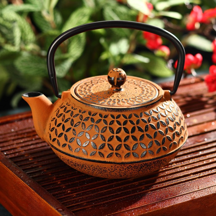 Чайник «Лайан», 1 л, с ситом, цвет оранжевый - Фото 1