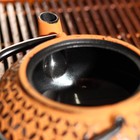 Чайник «Лайан», 1 л, с ситом, цвет оранжевый - Фото 3