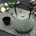 Чайник с ситом 1 л "Ламис", цвет зеленый - Фото 4