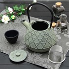 Чайник с ситом 1 л "Ламис", цвет зеленый - Фото 5