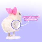 Заводная игрушка «Кролик» - Фото 4