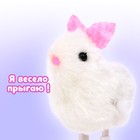 Заводная игрушка «Кролик» - Фото 5