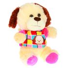 Мягкая игрушка "Собака в цветной кофте" №2, 25 см, МИКС - Фото 2