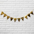 Гирлянда «Флажки на ленте», 160 см - Фото 2