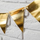 Гирлянда «Флажки на ленте», 160 см - Фото 5