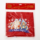 Мешок Деда Мороза «С Новым Годом», 40×60 см - Фото 4