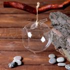 Флорариум «Натурель», яблоко, с веревкой, d=5.5 см, 11×9 см, стекло, прозрачный - Фото 1