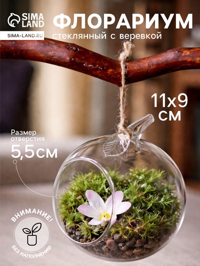 Флорариум «Натурель», яблоко, с веревкой, d=5.5 см, 11×9 см, стекло, прозрачный