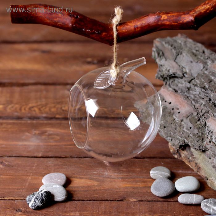 Флорариум «Натурель», яблоко, с веревкой, d=5.5 см, 11×9 см, стекло, прозрачный - Фото 1