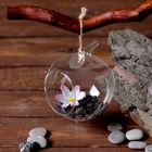 Флорариум «Натурель», яблоко, с веревкой, d=5.5 см, 11×9 см, стекло, прозрачный - Фото 2