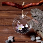 Флорариум «Натурель», яблоко, с веревкой, d=5.5 см, 11×9 см, стекло, прозрачный - Фото 3