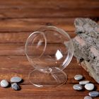 Флорариум «Натурель», сфера, 14×11 см, d=7.7 см - Фото 1