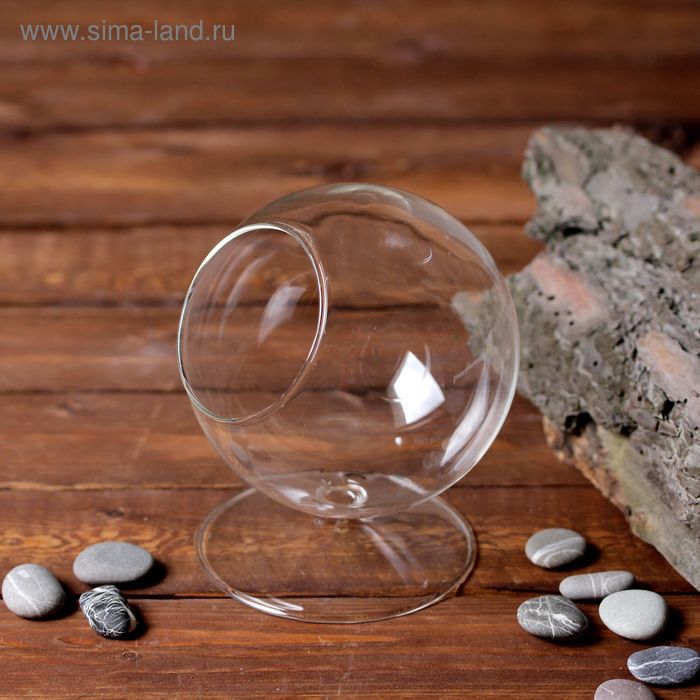 Флорариум «Натурель», сфера, 14×11 см, d=7.7 см - Фото 1