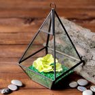 Флорариум каркас, 13×24 см, чёрный - Фото 2