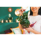 Флорариум каркас, 13×24 см, чёрный - Фото 7