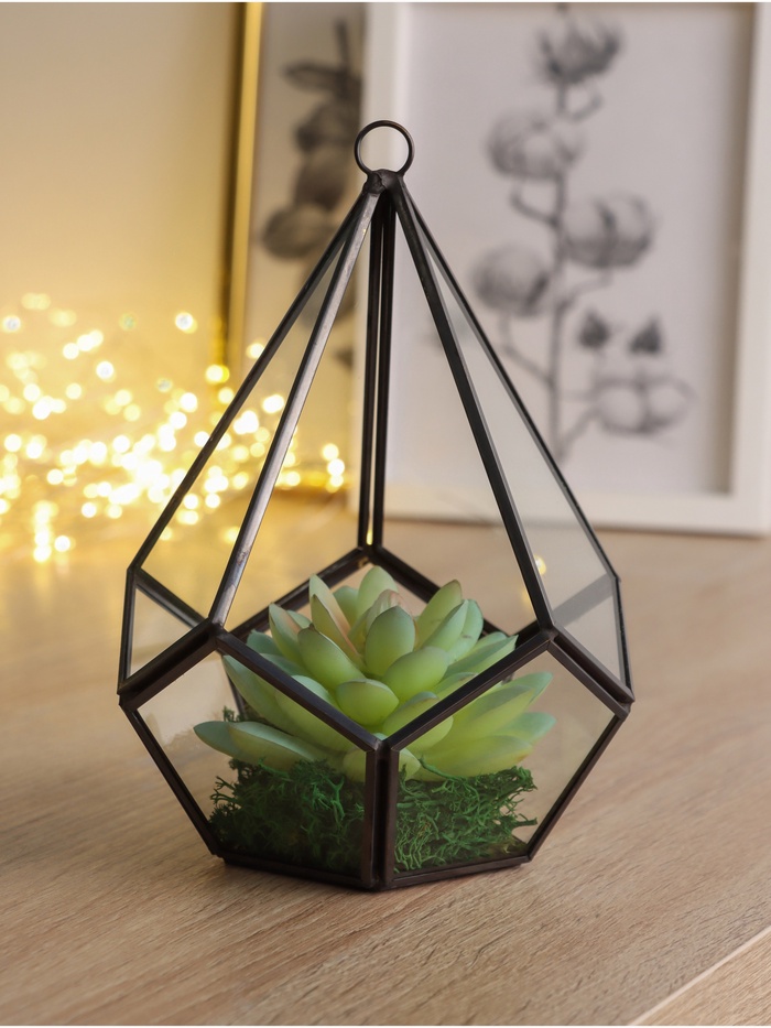 Флорариум «Угольник», каркас, 21×14 см, стекло, прозрачный, чёрный - Фото 1