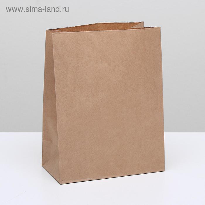 Пакет крафт бумажный фасовочный, прямоугольное дно 22×12×29 см - Фото 1